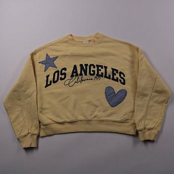 свитшот ZARA